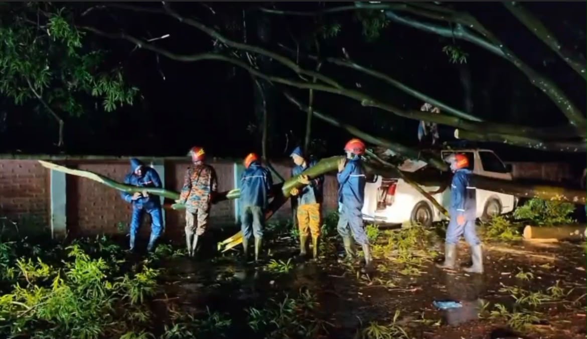 মুন্সীগঞ্জে অতি বৃষ্টিতে অ্যাম্বুলেন্সের ওপর গাছ, দ্রুত অভিযানে যান চলাচল স্বাভাবিক।